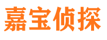 潮南侦探公司